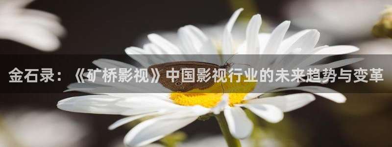 草莓视频啊