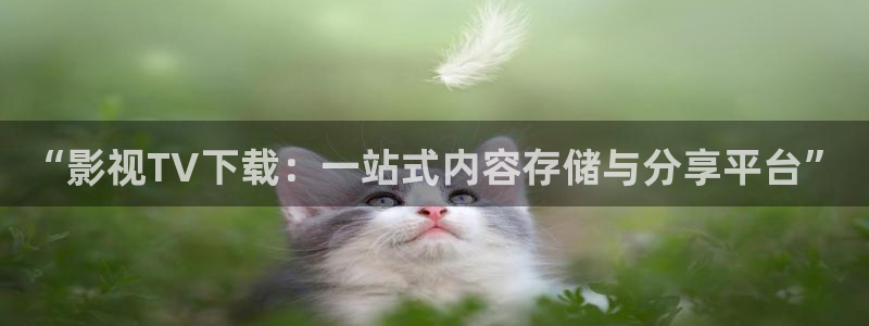 草莓视频片子