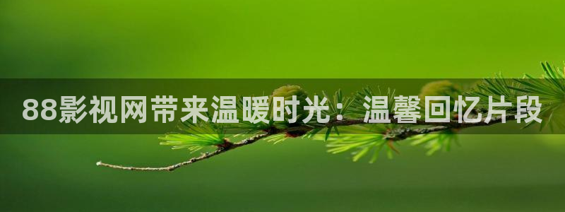 深夜小草莓视频
