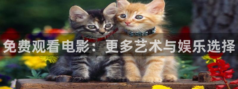 草莓视频sio