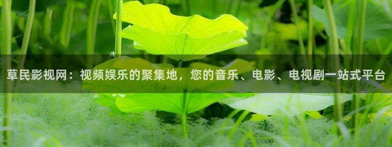 草莓视频在线观看.com