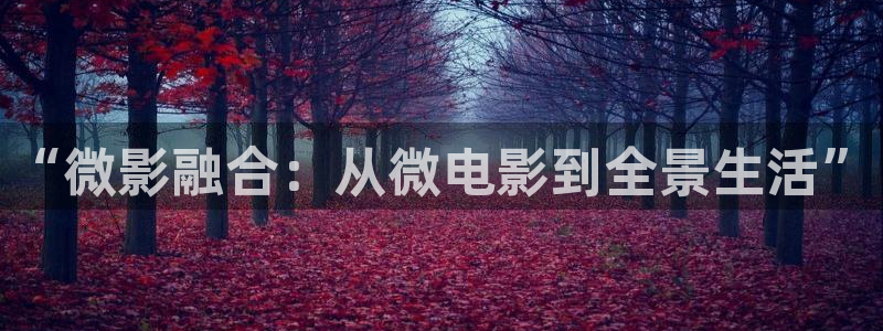 草莓视频app下载网址