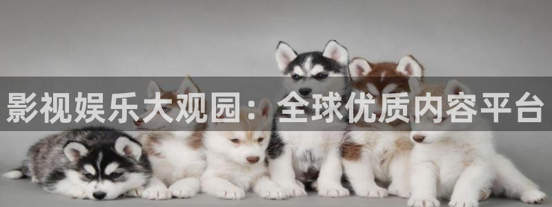 草莓视频资源网
